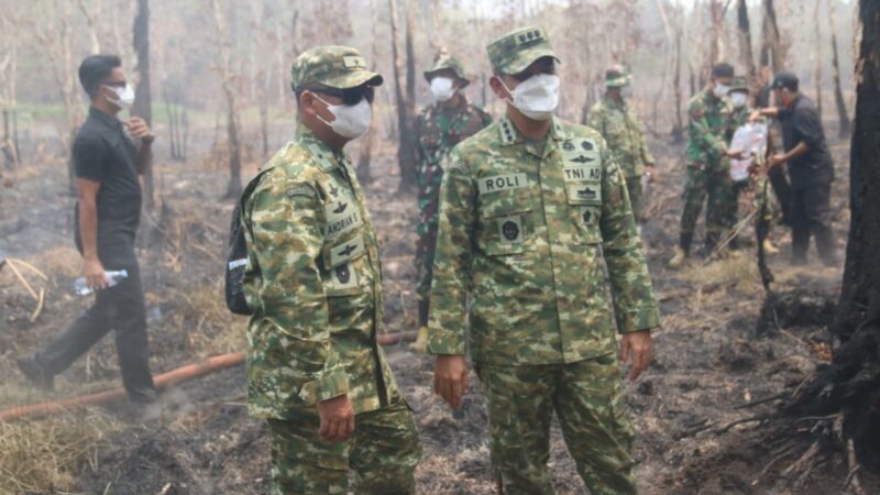 Karhutla Way Kambas, Kasrem 043/Gatam Dampingi Kepala BNPB Tinjau Lokasi